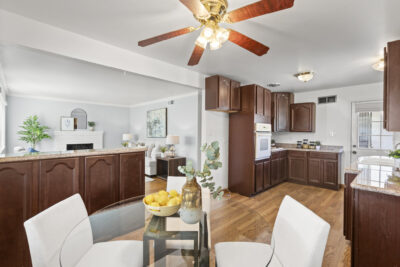 Gallery Thumbnail Photo #10