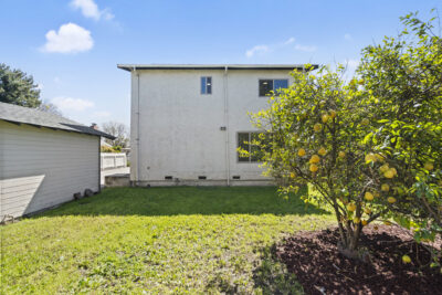 Gallery Thumbnail Photo #39