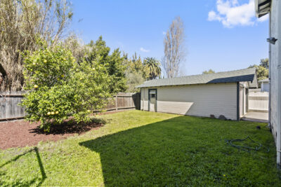 Gallery Thumbnail Photo #41