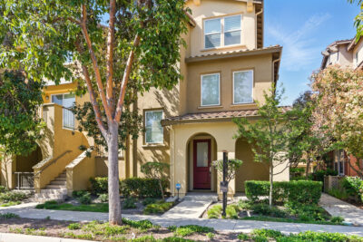 Gallery Thumbnail Photo #1