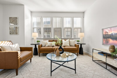 Gallery Thumbnail Photo #8