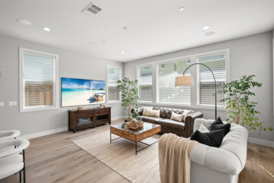 Gallery Thumbnail Photo #11