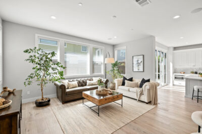 Gallery Thumbnail Photo #12