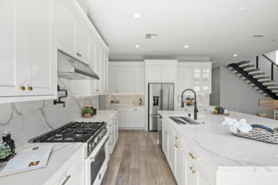 Gallery Thumbnail Photo #20