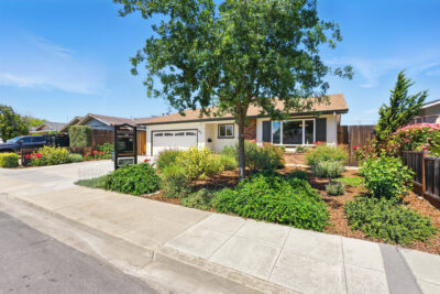 Gallery Thumbnail Photo #0