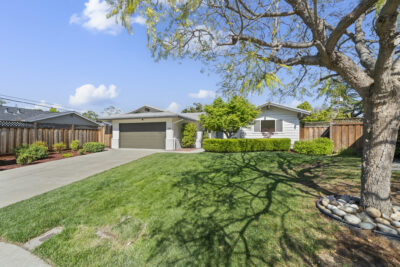 Gallery Thumbnail Photo #25