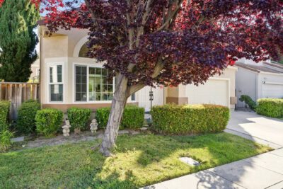 Gallery Thumbnail Photo #2