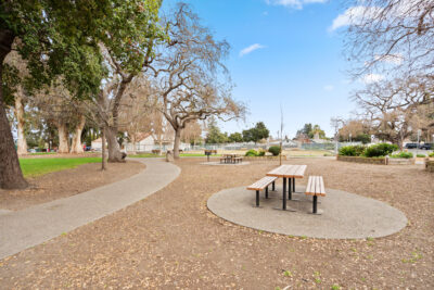 Gallery Thumbnail Photo #35