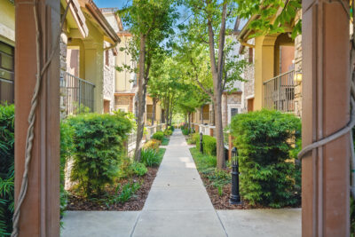 Gallery Thumbnail Photo #34