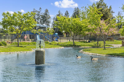 Gallery Thumbnail Photo #37