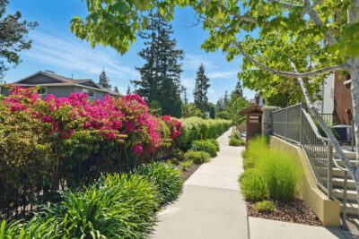 Gallery Thumbnail Photo #35