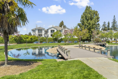 Gallery Thumbnail Photo #34