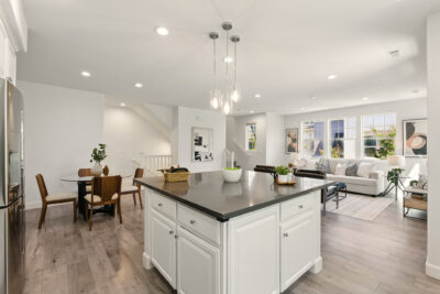 Gallery Thumbnail Photo #12