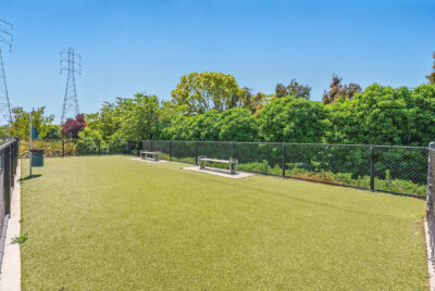 Gallery Thumbnail Photo #31