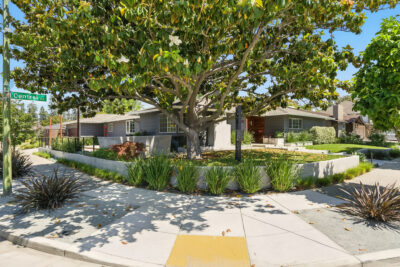 Gallery Thumbnail Photo #36