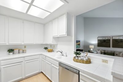 Gallery Thumbnail Photo #8