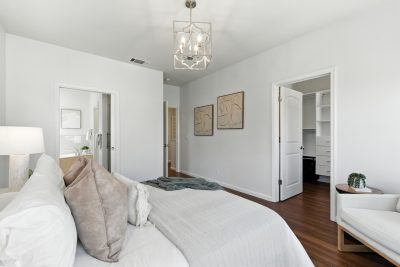 Gallery Thumbnail Photo #25