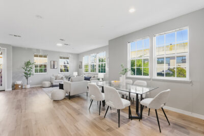 Gallery Thumbnail Photo #16