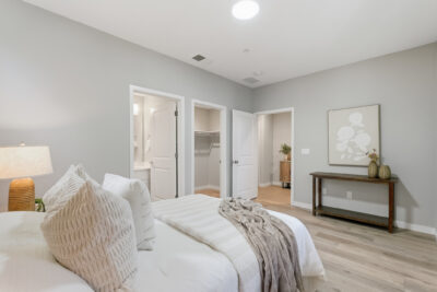 Gallery Thumbnail Photo #5