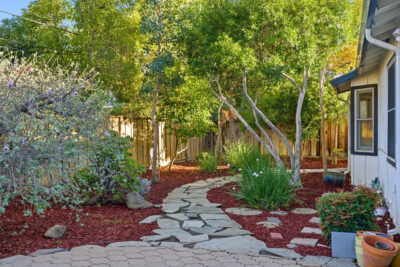 Gallery Thumbnail Photo #42