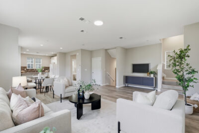 Gallery Thumbnail Photo #10