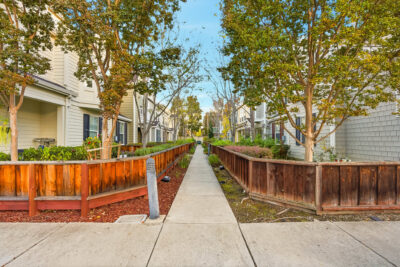 Gallery Thumbnail Photo #1