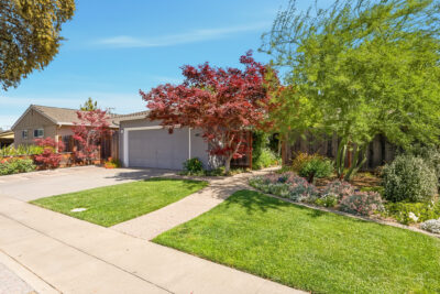 Gallery Thumbnail Photo #0