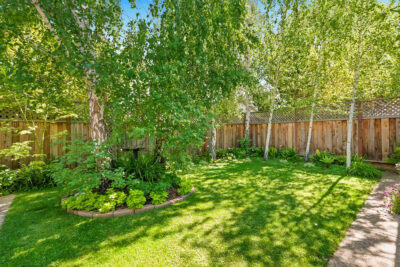 Gallery Thumbnail Photo #12