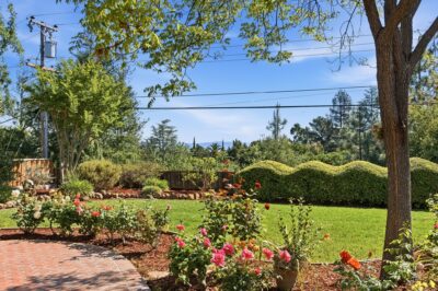 Gallery Thumbnail Photo #43