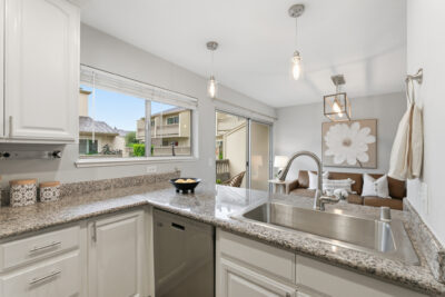 Gallery Thumbnail Photo #16