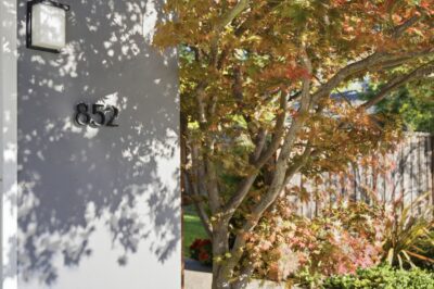Gallery Thumbnail Photo #8