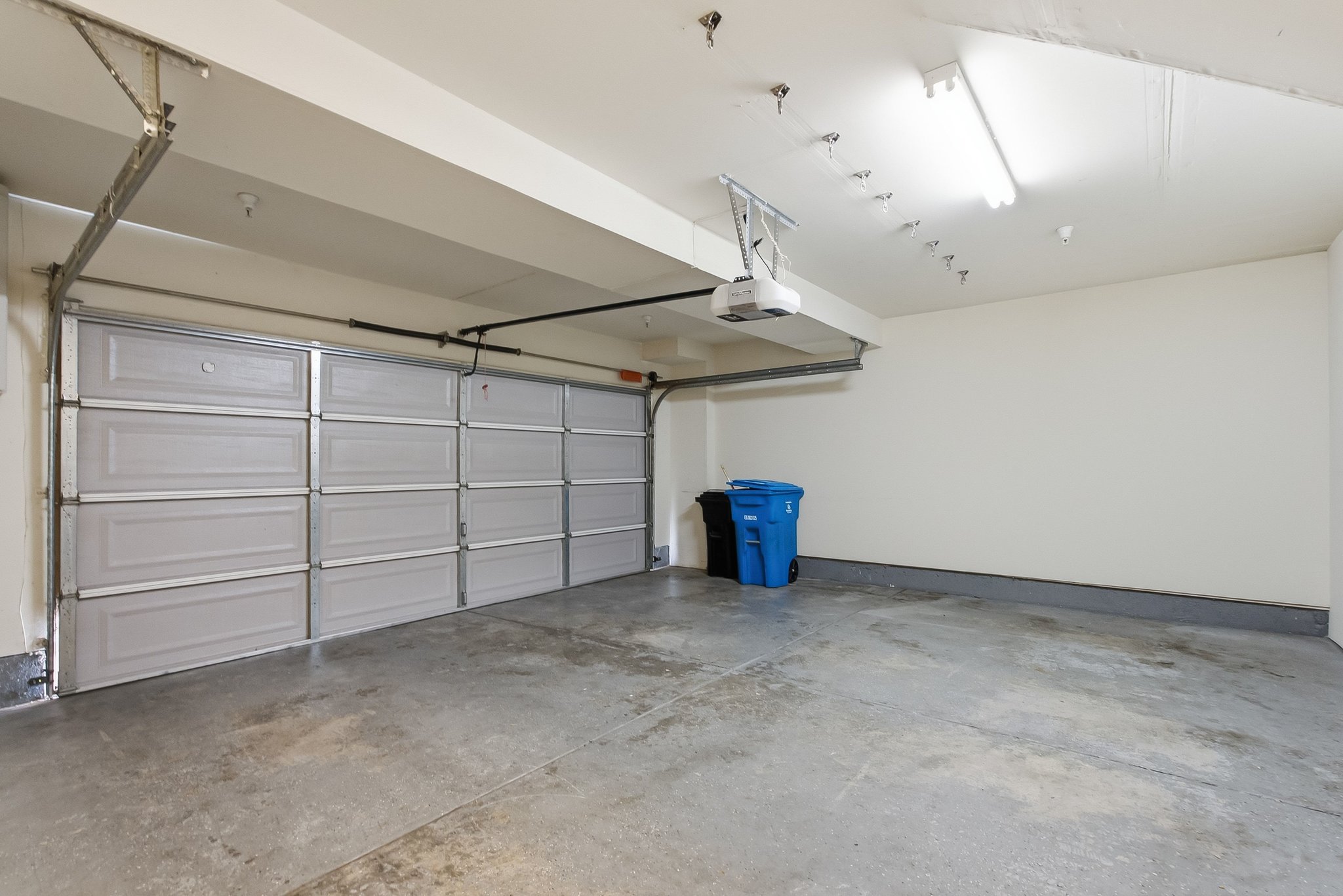 Gallery Photo #3