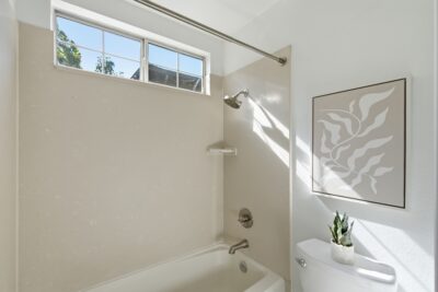 Gallery Thumbnail Photo #43