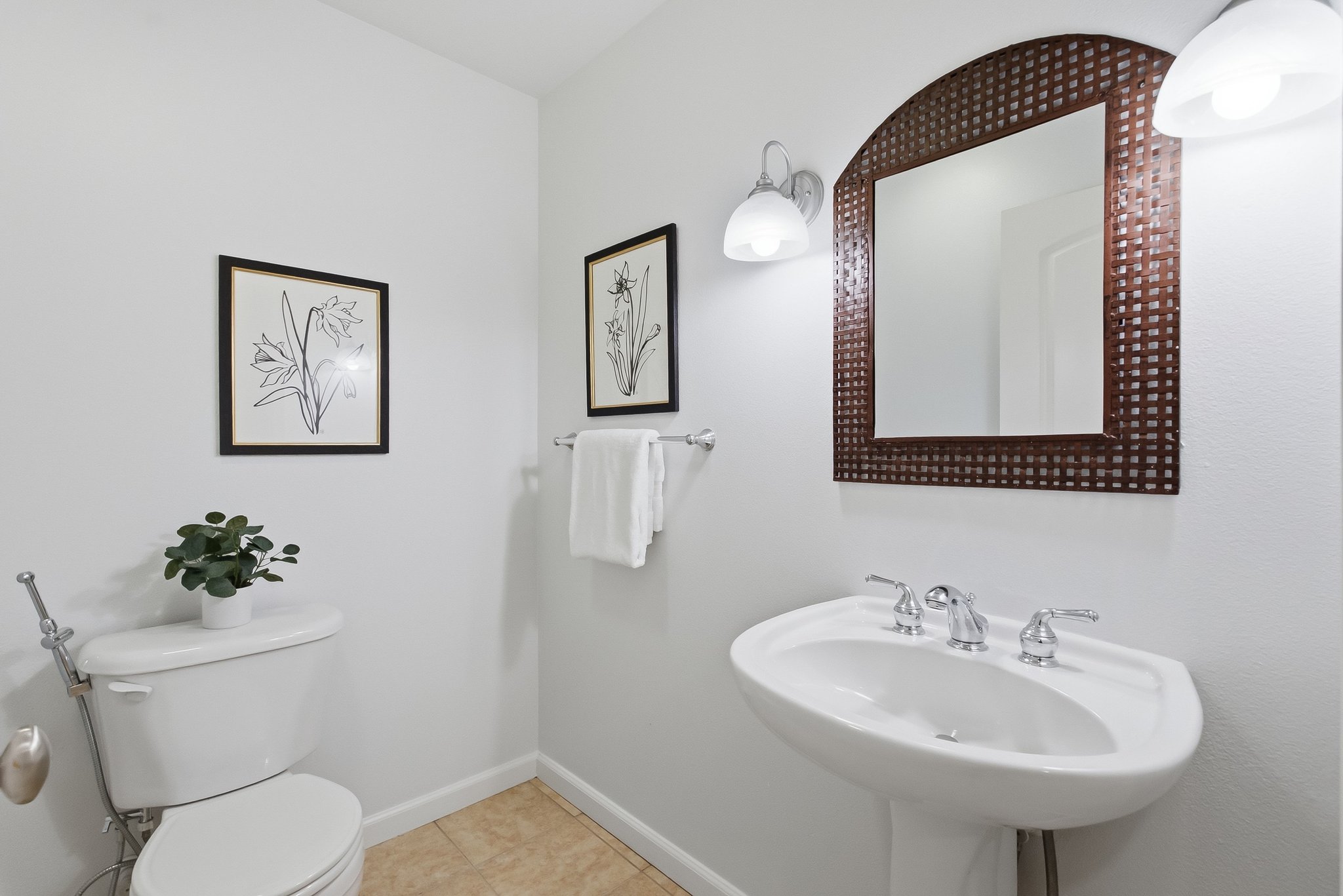 Gallery Photo #37